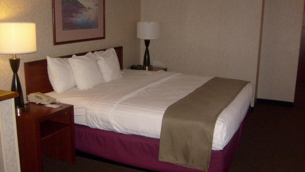 King Studio Suite - Non-Smoking